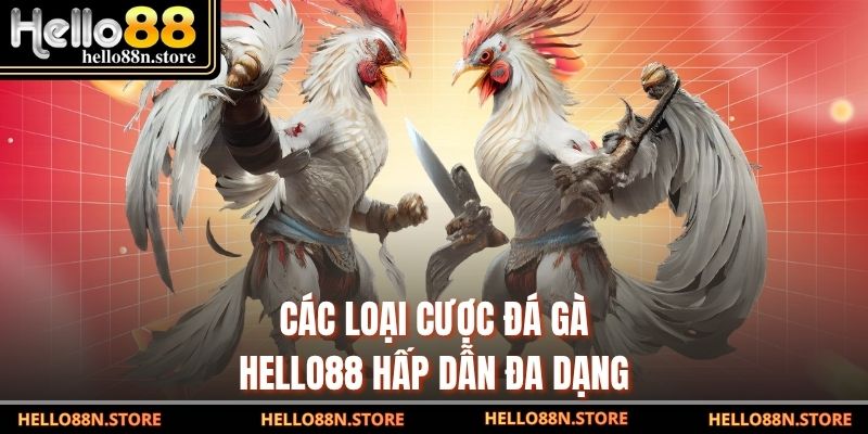 Các loại cược đá gà Hello88 hấp dẫn đa dạng