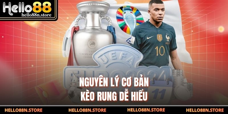 Nguyên lý cơ bản kèo rung dễ hiểu